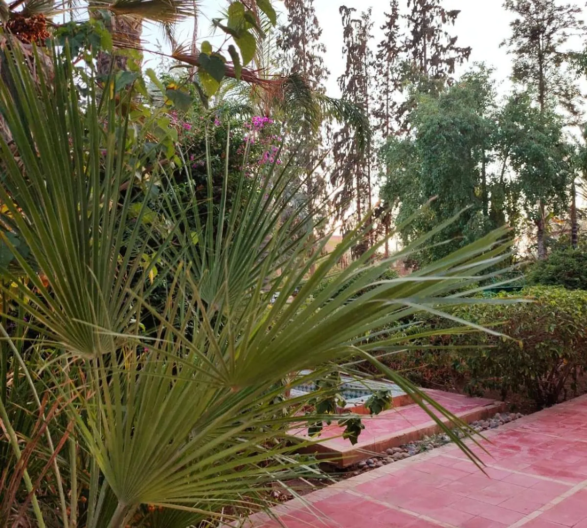 Guest house Riad Sheherazade Marrakech Marrakesh Morocco